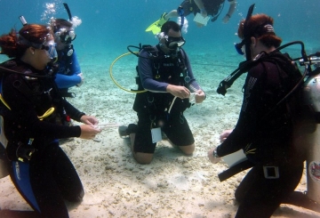 Divemaster demonstrating how to tie a knot underwater to student divers