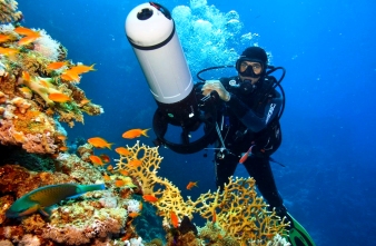 Diver moving over coral reef using a dive propulsion vehicle