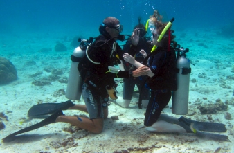 Three divers practicing skills underwater